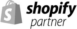 Shopify Partner